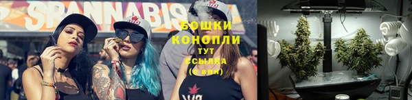 амф Вязьма