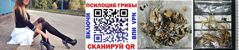 Псилоцибиновые грибы Cubensis  Купить закладки  Чехов 